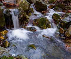 Sarpdere