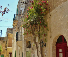 THE STREET IN VICTORIA 