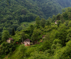 Karadeniz