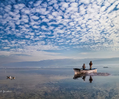 Gölyazı