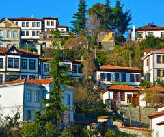 Manzara 