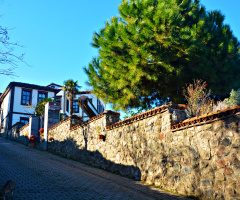 Manzara 
