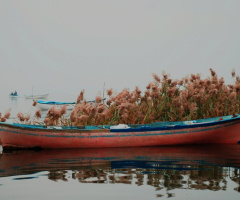 Gölyazı