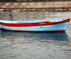 ÖZGÜR MAVİ