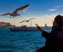 İstanbul'a dair her şey.