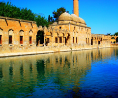 Urfa Balıklı göl
