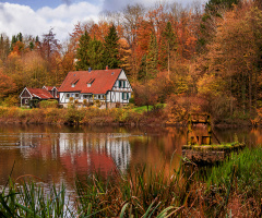 The Lake House