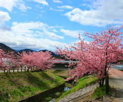one spring day