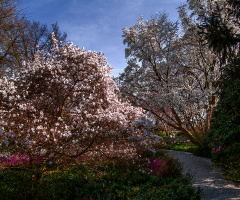 Berggarten Herrenhausen Hanover