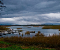 Efteni Gölü - Efteni Lake