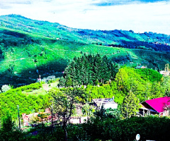 karadeniz manzarası