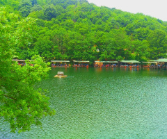 Yeşil