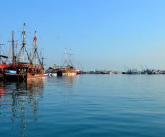 İskenderun Barınak 2