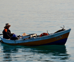 Yiğit