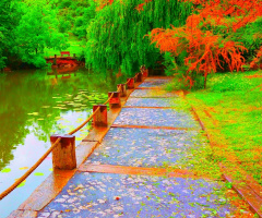 Yol
