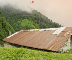 Ayder