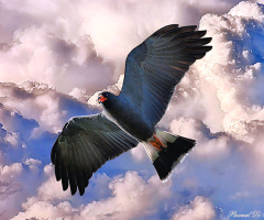 Out of storm
