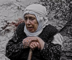 Hayat Çizgileri