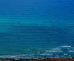 The wave of the sea