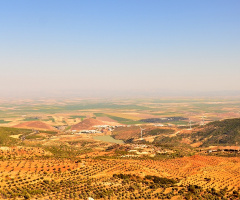 Amik Ovası 2