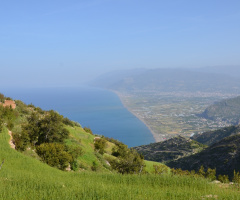Tepenin ardından