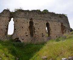 Kale surları