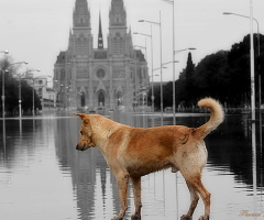 Lost
