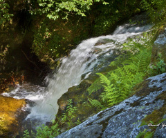 Şelale-Waterfall