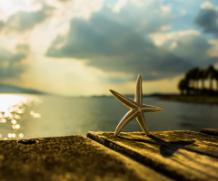 The Star