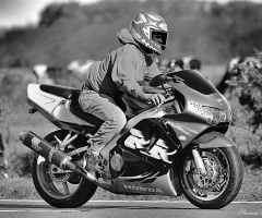 Speed 