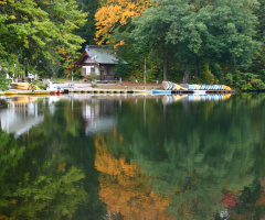 reflection