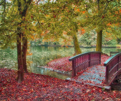 Across the creek