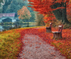 Autumn on lake