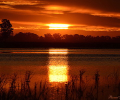 Sunset on fire