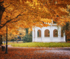 In the city park