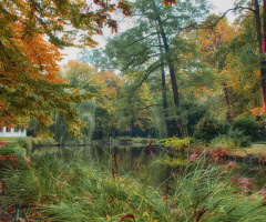 Colorful  lake
