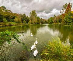 Atatürk Arboretumu