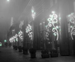 Fogy early morning