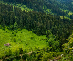 Huzur İklimi
