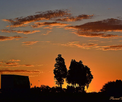 Sunset on the road