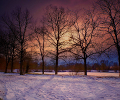 Winter morning