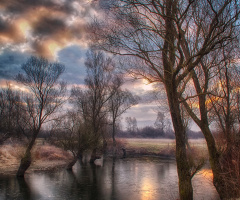 Early morning 