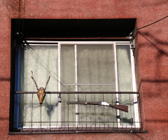 window