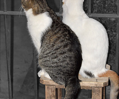 Waiting together