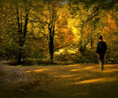 YOL / CU____________.!