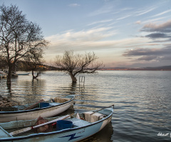 Gölyazı