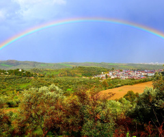 Gök Kuşağı