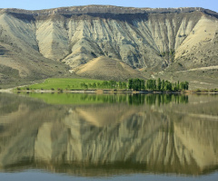 Vaha 