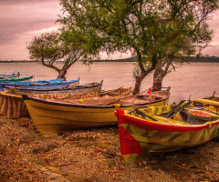 Gölyazı'dan