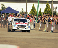 Ralii Tutkusu